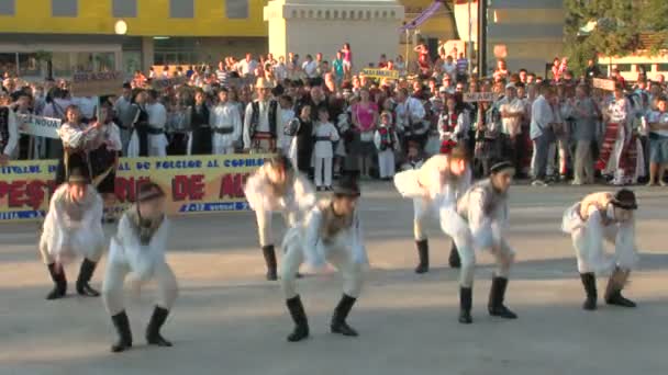 Rumunský tradiční tanec na mezinárodním folklorním festivalu, 04, 2012 v Tulcea, Rumunsko. — Stock video