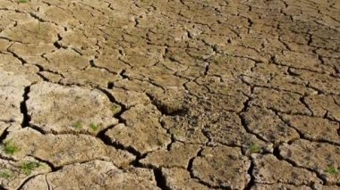 Kuraklık sırasında kuru kırık dünya