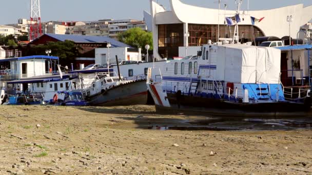 Donau under extrem torka — Stockvideo