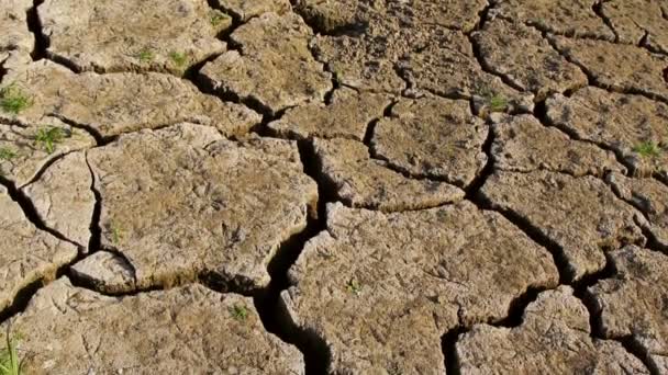 Trockene rissige Erde während der Dürre — Stockvideo