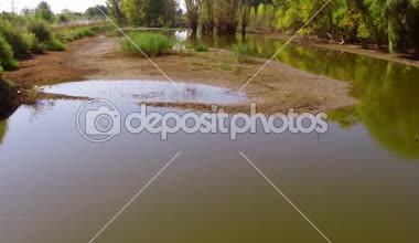 Nehir boyunca Danube taşkın yatağının uçan
