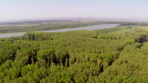 Terbang di sepanjang sungai Danube dataran banjir — Stok Video