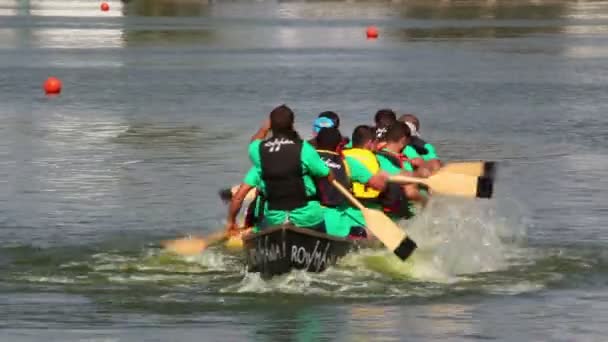 国际划船节 — 图库视频影像