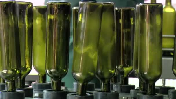 Wine bottling factory — Stock Video