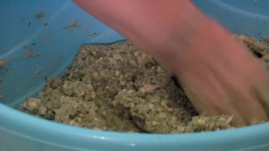 Dolması pike (geleneksel tarifleri Tuna Deltası)