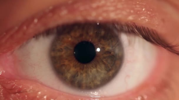 Macro tiro del ojo de un joven — Vídeo de stock