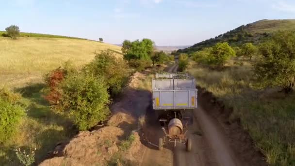 Vrachtwagen geladen met vers geplukte druiven — Stockvideo