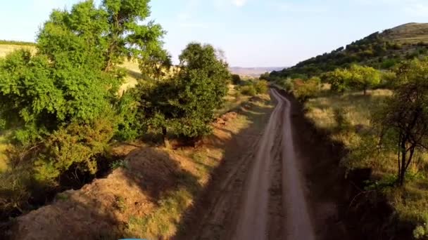 Vrachtwagen geladen met vers geplukte druiven — Stockvideo