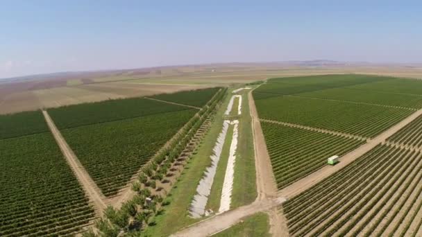 Красивый ландшафт виноградников, вид с воздуха — стоковое видео