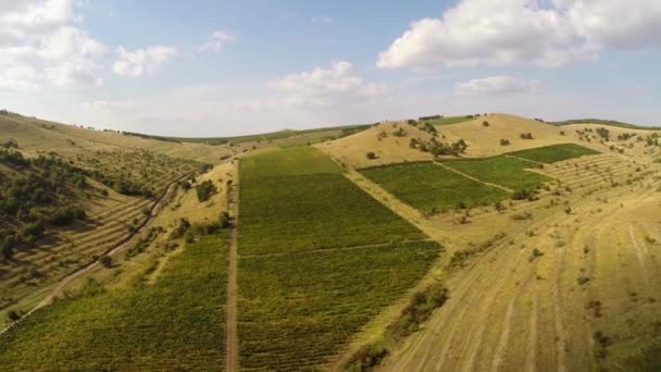 Горные вершины с виноградниками, вид с воздуха — стоковое видео