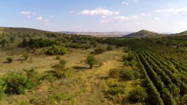 Hermoso valle de montaña con viñedos, vista aérea — Vídeo de stock