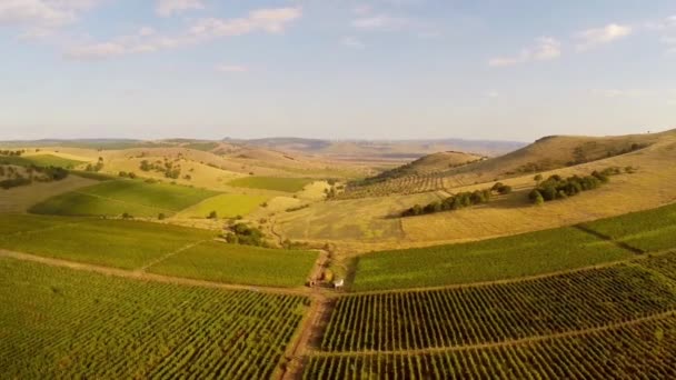Belo vale de montanha com vinhas, vista aérea — Vídeo de Stock