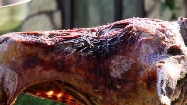 Roasted lamb on the spit — Stock Video