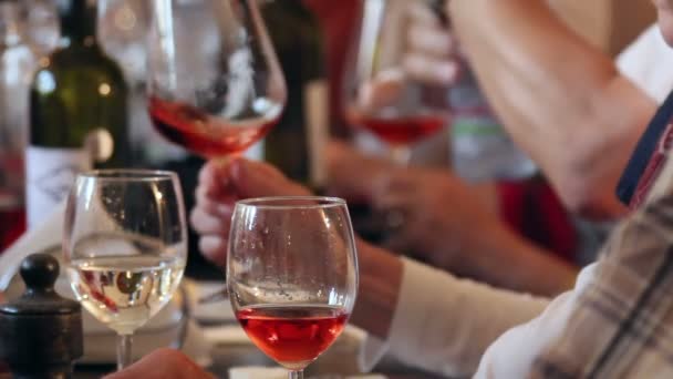 Gruppo di persone che si godono una degustazione di vini in un ristorante — Video Stock