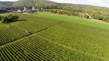 Güzel üzüm bağları yatay, manastır arka planda, havadan görünümü
