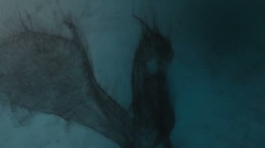 Kanatlarını çırpan bir ejderhanın 3 boyutlu animasyonu, parçacıklardan oluşur.