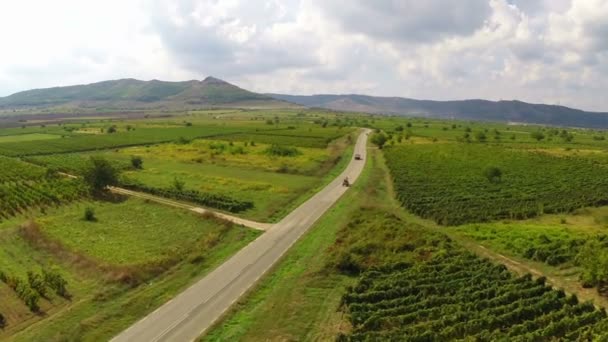 Landweg langs de wijngaarden ergens in Dobrogea, Roemenië — Stockvideo