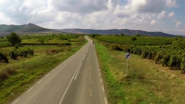 Landweg langs de wijngaarden ergens in Dobrogea, Roemenië — Stockvideo