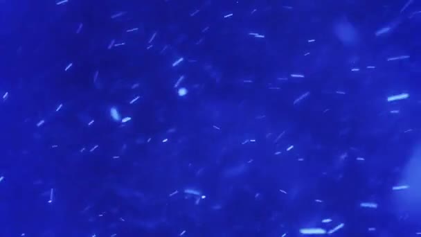 Realistische sneeuwval op een blauwe achtergrond — Stockvideo