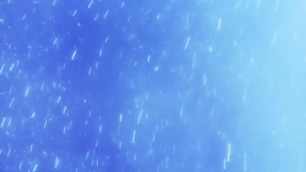 Chute de neige réaliste sur un fond bleu — Video