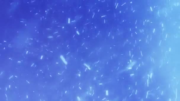 Ρεαλιστική χιονοπτώσεις σε μπλε φόντο — Αρχείο Βίντεο