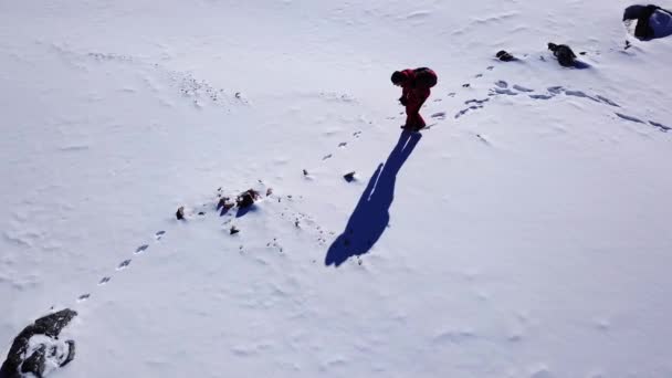 Králičí stopy ve sněhu vysoko v horách. — Stock video