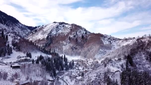 Bosque de invierno y altas montañas cubiertas de nieve — Vídeo de stock