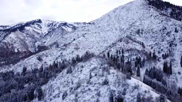 Bosque de invierno y altas montañas cubiertas de nieve — Vídeo de stock