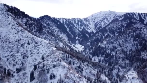 Zimowy las i wysokie góry pokryte śniegiem — Wideo stockowe