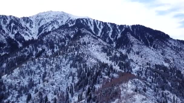 Bosque de invierno y altas montañas cubiertas de nieve — Vídeo de stock