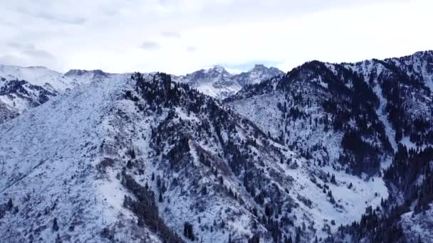 Bosque de invierno y altas montañas cubiertas de nieve — Vídeo de stock