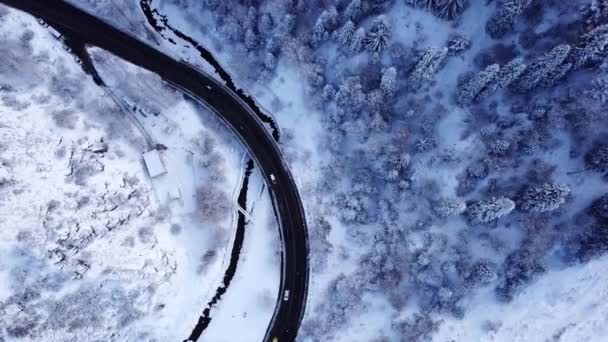 Montanhas nevadas, floresta de inverno e estrada com carros. — Vídeo de Stock