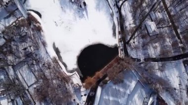 Bir ördek sürüsü Park 'taki dondurucu bir gölette dinleniyor.