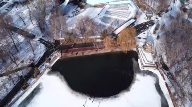 Bir ördek sürüsü Park 'taki dondurucu bir gölette dinleniyor.