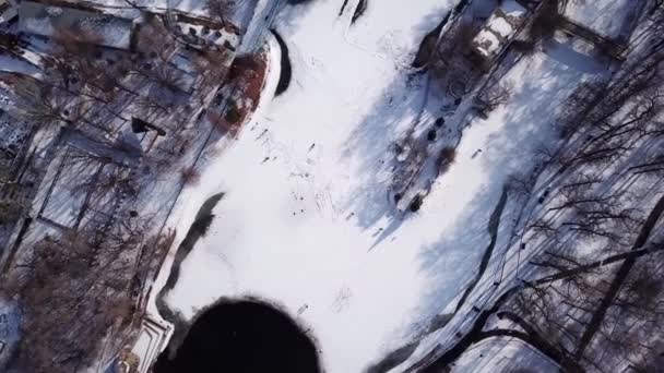 Hejno kachen leží na zamrzlém jezírku v parku — Stock video