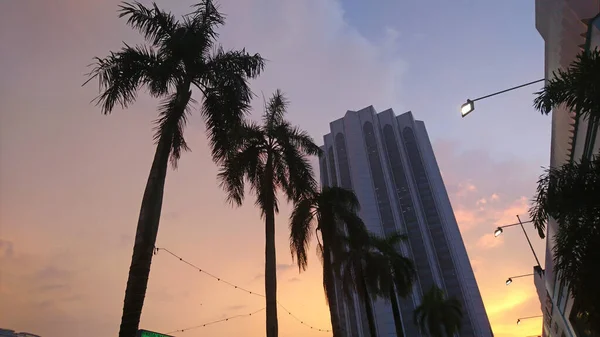 Vista de palmeiras e construção ao pôr do sol. — Fotografia de Stock