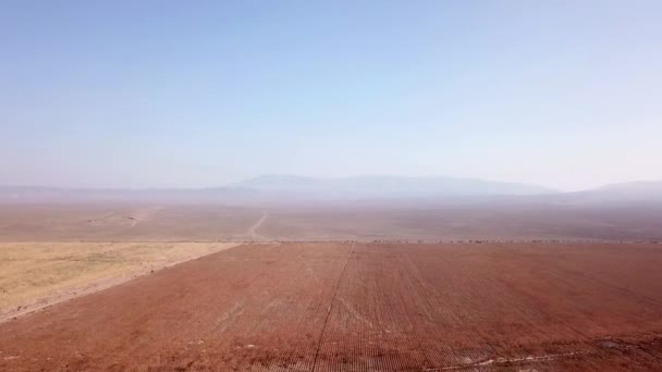 Bir İHA 'dan sonbahar tarım alanlarının hava görüntüsü. — Stok video