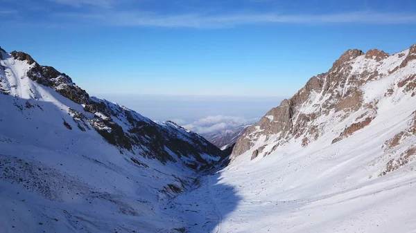 高山白雪，云杉生长的地方 — 图库照片