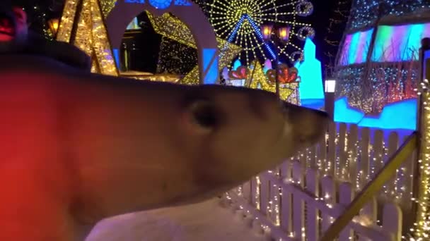 The city is decorated for Christmas and New Year. — Stock Video