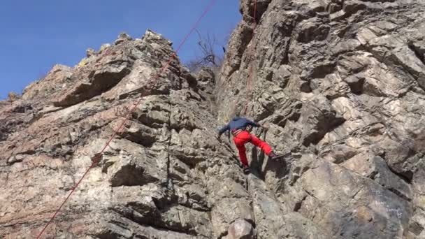 Treinamento de escalada e seguro de parceiro. — Vídeo de Stock