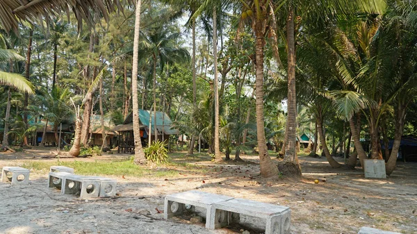 Ormandaki bir adada eski evler. Chang Adası.