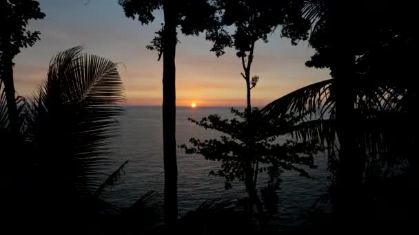 Atardecer timelapse en el mar con palmeras. — Vídeos de Stock