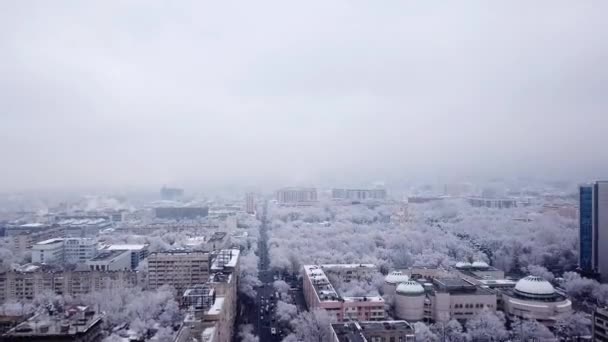 Arbres blancs comme neige parmi les maisons en pierre de la ville. — Video