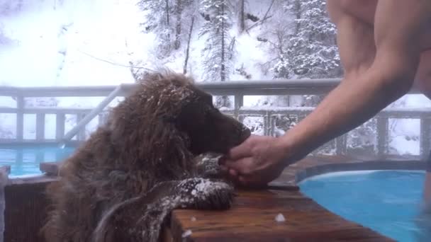 En man ger vatten ur händerna på sin hund. — Stockvideo