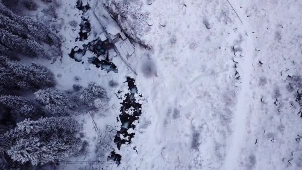 雪の森と山の中の温泉 — ストック動画