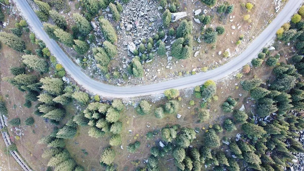 Auto Sta Guidando Strada Nella Foresta Vista Dall Alto Drone — Foto Stock