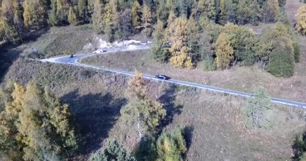 L'auto sta guidando su una strada nella foresta. Aerea — Video Stock