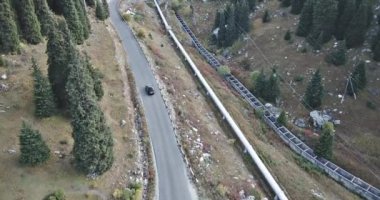 Araba ormanın içinde bir yolda gidiyor. Havadan