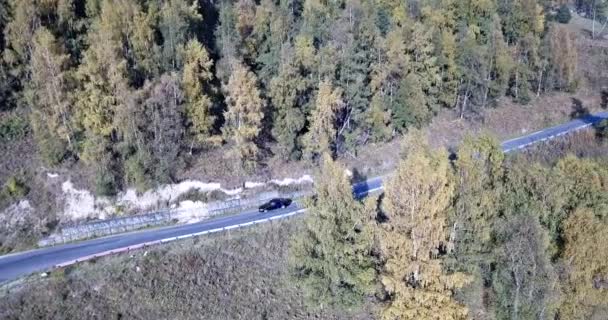 Das Auto fährt auf einer Straße im Wald. Luftfahrt — Stockvideo
