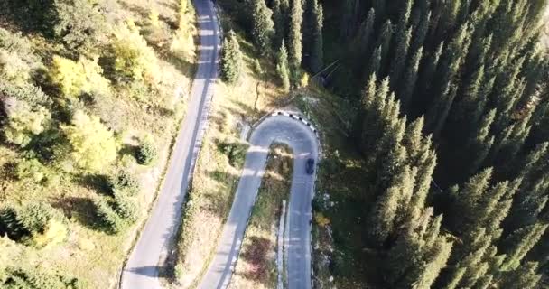 L'auto sta guidando su una strada nella foresta. Aerea — Video Stock